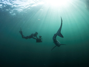 Atlántico Norte: el...: Explorando en la oscuridad