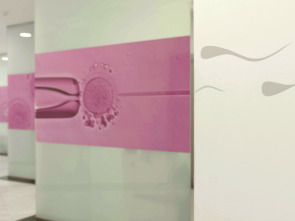 Imagen de Congelar la fertilidad - 1