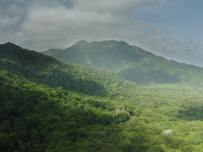 Imagen de Tayrona: La selva - 1
