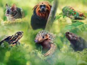 Imagen de Petits viatges salvatges: Episodi 3 - 1