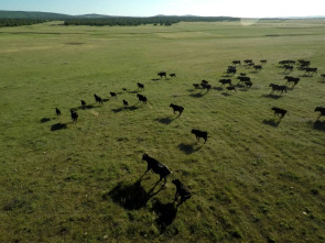 Imagen de En la piel del toro - 1