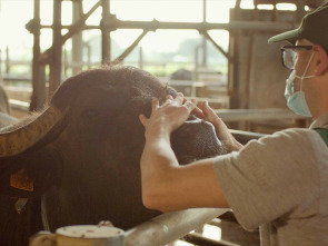 Imagen de La italia que gusta: Una experiencia gastronómica - 1