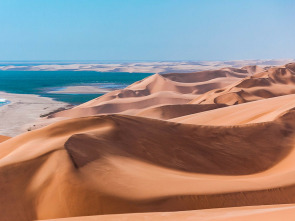 Imagen de Namibia la vida en la arena - 1