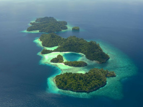 Imagen de El círculo mágico...: Pequeños gigantes: Los bentónicos - 1