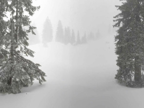Imagen de El blanco invierno, estación en el borde alpino - 1