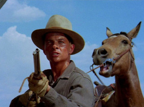 Imagen de Un tiempo para morir - 1