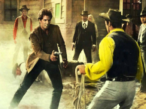 Imagen de Adiós gringo - 1