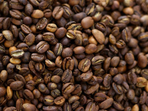 Imagen de Maestros de los sabores - 1