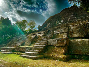 Imagen de El declive de los reyes mayas - 1
