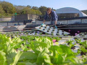 Forjadores del mañana: Tecnologias frugales