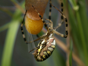 Imagen de Padres en la naturaleza  - 1