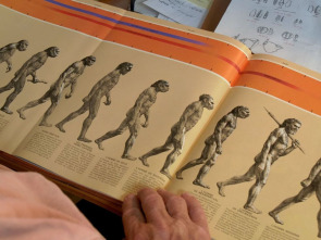 Imagen de Neandertal, tras la huella de otra humanidad - 1
