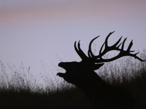 Imagen de Jara y sedal (T25/26) - 1