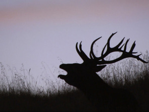 Imagen de Jara y sedal (T25/26): El Aprisco, una buena gestión - 1