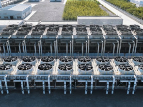 Imagen de El escarabajo verde: Sed digital - 1