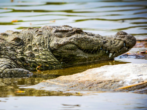 Imagen de Del amanecer al crepúsculo: Ep.1 - 1