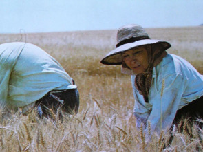 Imagen de Tierra de rastrojos - 1