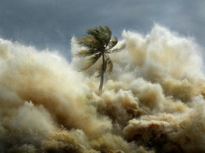Imagen de Tsunami: la ola que conmocionó al mundo - 1