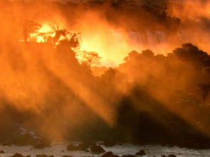 Imagen de Un año en la selva: Ep.2 - 1