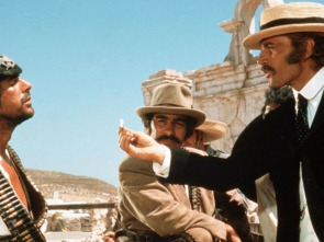 Imagen de Los compañeros - 1