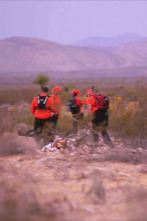 Imagen de Desaparecidos: El largo camino a casa - 2