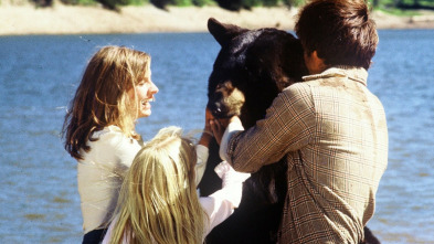 Imagen de Las aventuras de la familia Robinson - 3