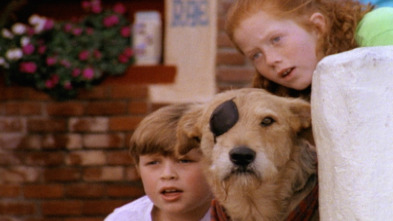 Imagen de Sherlock: el perro detective - 3