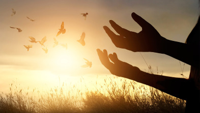 Imagen de El Caso de Jesús... (T1): La Resurrección - 3