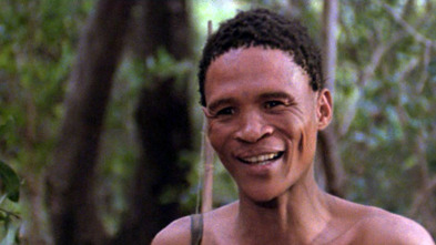 Imagen de Los dioses deben estar locos - 3