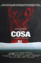 Imagen de Enigma - 2