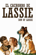 Imagen de El cachorro de Lassie - 2