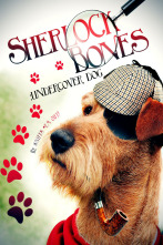 Imagen de Sherlock: el perro detective - 2