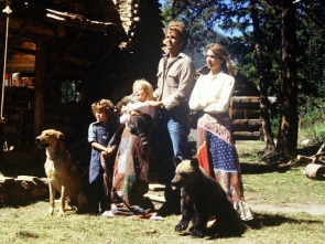 Imagen de Las aventuras de la familia Robinson - 1