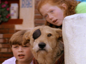 Imagen de Sherlock: el perro detective - 1