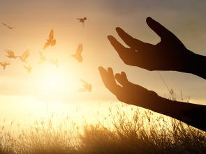 Imagen de El Caso de Jesús... (T1): La Resurrección - 1