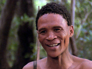 Imagen de Los dioses deben estar locos - 1