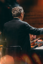 Imagen de Nielsen: Sinfonía n°. 6 - Danish National Symphony Orchestra Fabio Luisi - 11