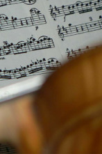 Imagen de Barenboim Beethoven Piano Concerto No.4 - 2