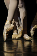 Imagen de M Coreografía de Maurice Béjart - The Tokyo Ballet - 2