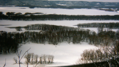 Imagen de Misisipi salvaje: La helada - 4