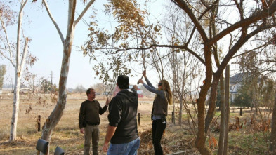 Imagen de En busca de ovnis: Avistamientos en Texas - 3