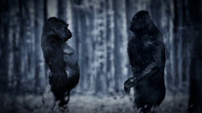 Imagen de Paranormal: El hombre salvaje - 3