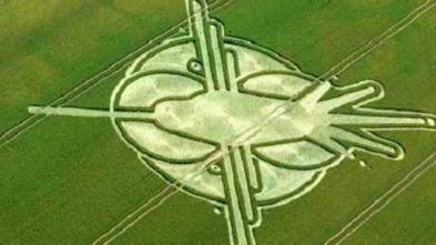 Imagen de Paranormal: Los círculos de los campos de cultivo - 3