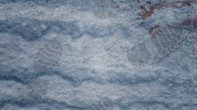 El misterio del asesinato del hombre de hielo: perdido en el hielo