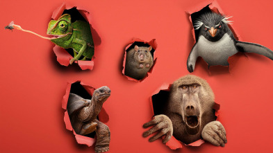 Imagen de Bichos raros (T1) - 3