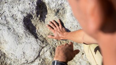 Imagen de El cazador de dinosaurios: Canada - 5