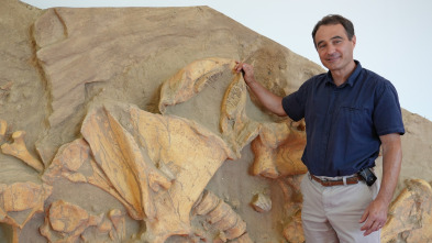 Imagen de Bestias del pasado: Megalodón - 4