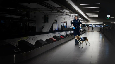 Imagen de Control de aeropuertos: USA  - 5