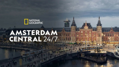Imagen de Amsterdam Central 24/7: Trenes, trenes, trenes - 4