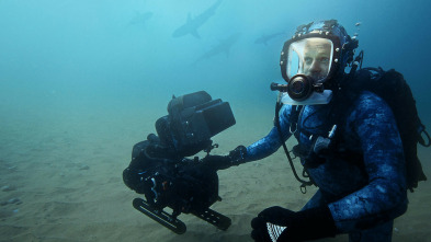 Imagen de Tiburones en primer plano con Bertie Gregory - 8